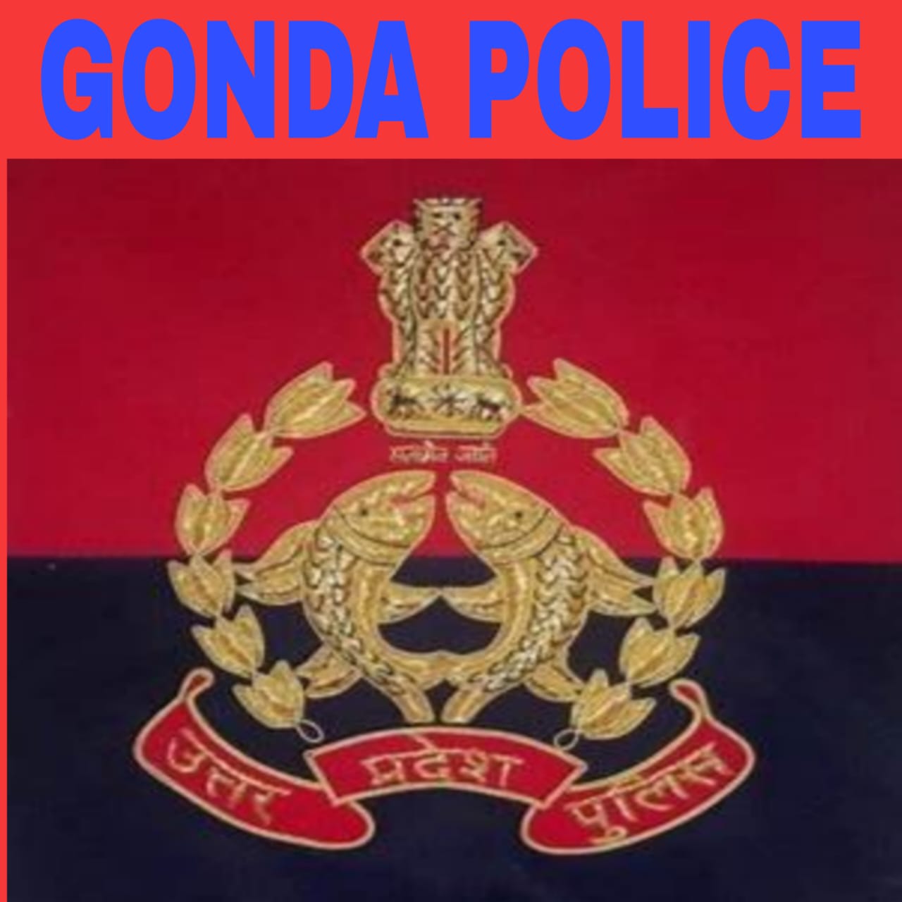 WhatsApp Image 2025-12-05 at 17.07.05_a6984756.jpg